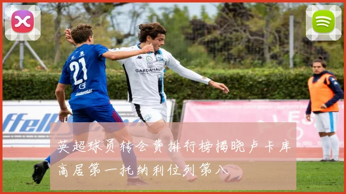 英超球员转会费排行榜揭晓卢卡库高居第一托纳利位列第八