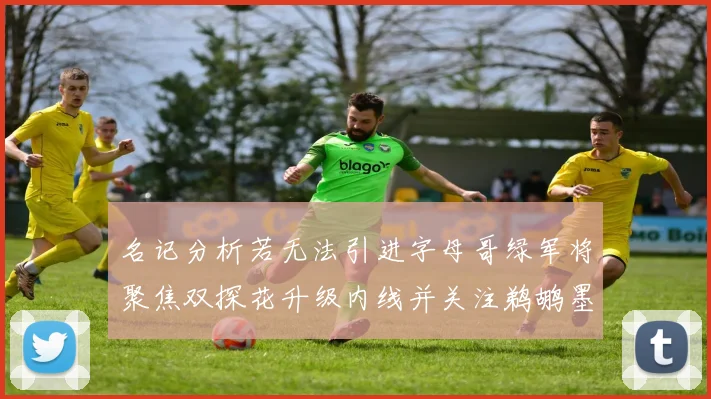名记分析若无法引进字母哥绿军将聚焦双探花升级内线并关注鹈鹕墨菲